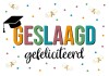 Pabo studenten geslaagd!