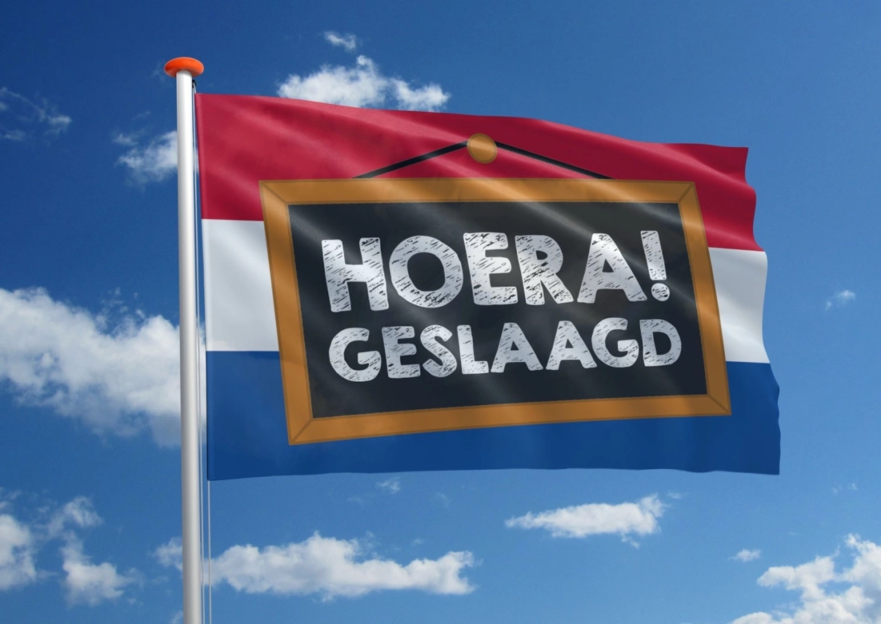 Afbeelding 4